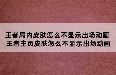 王者局内皮肤怎么不显示出场动画 王者主页皮肤怎么不显示出场动画